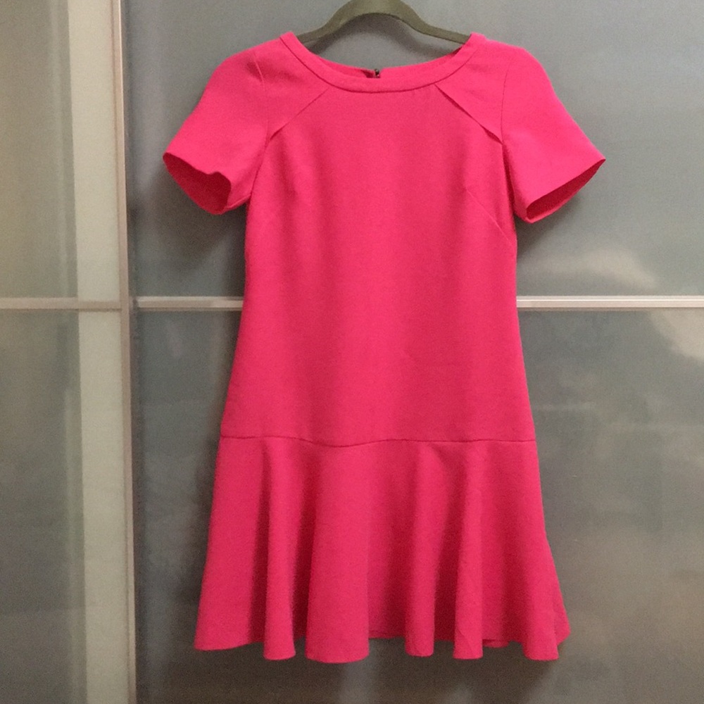 BR Fit and flare dress